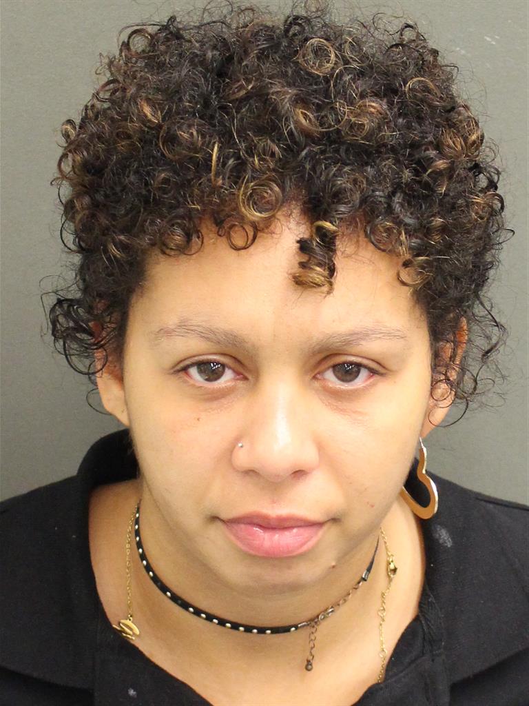  GINGER GINNETTE HUBBARD Mugshot / County Arrests / Orange County Arrests