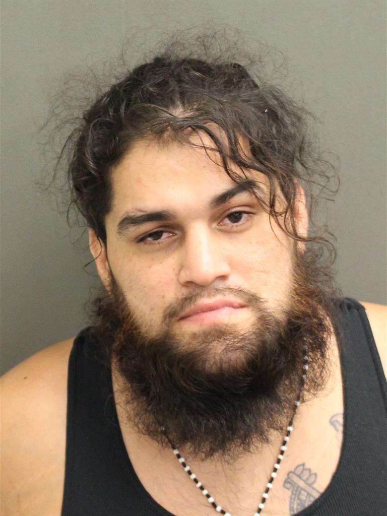  JOSE ARMANDO VELA Mugshot / County Arrests / Orange County Arrests
