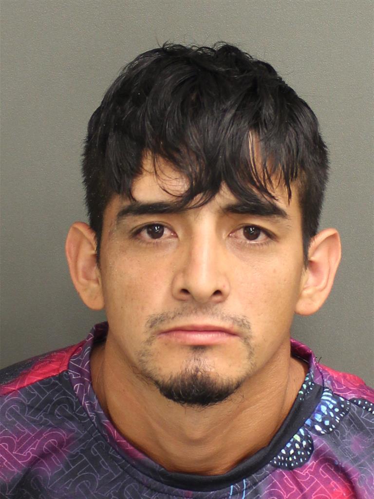  EDELMAN CASTANEDA IGLESIAS Mugshot / County Arrests / Orange County Arrests