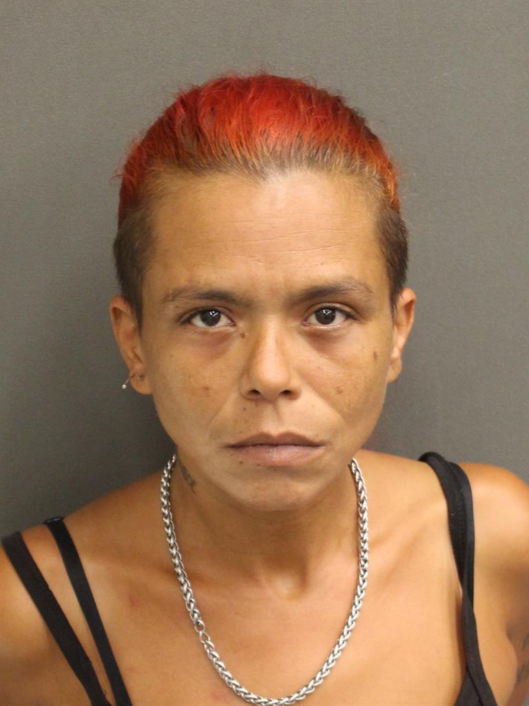  AIDA LUZ FIGUEROA Mugshot / County Arrests / Orange County Arrests