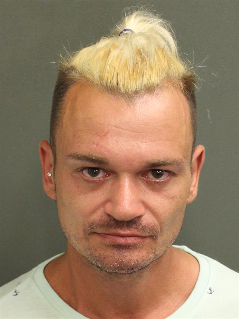  DENIS WILHELMUS TIELEMANS Mugshot / County Arrests / Orange County Arrests