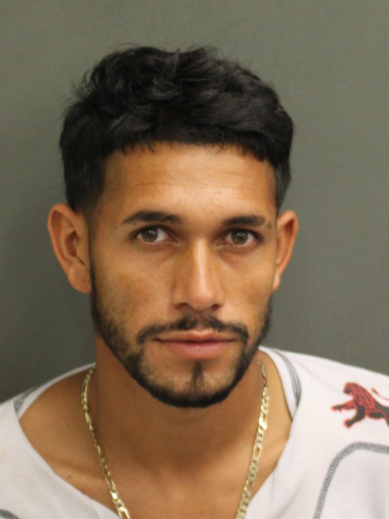 JOSE ALFONSO ORELLANAPADILLA Mugshot JOSE ALFONSO ORELLANAPADILLA Mugshot / County Arrests / Orange County Arrests