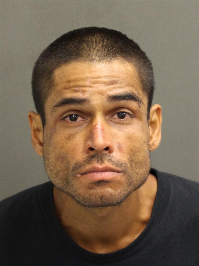  ANDRES JAVIER ACEVEDOVEGA Mugshot / County Arrests / Orange County Arrests
