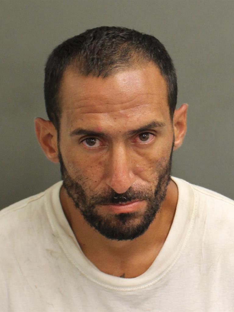  LUIS ANGEL SAGARDIA Mugshot / County Arrests / Orange County Arrests