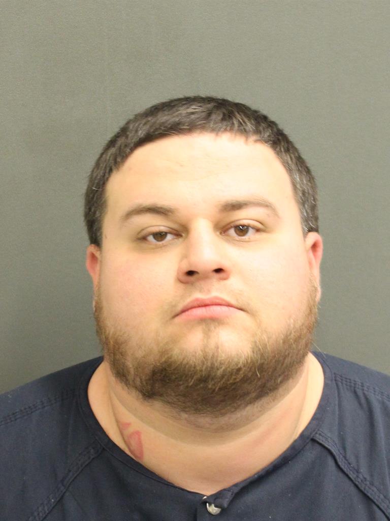  NICHOLAS VALENTINO FEDORCHAK Mugshot / County Arrests / Orange County Arrests