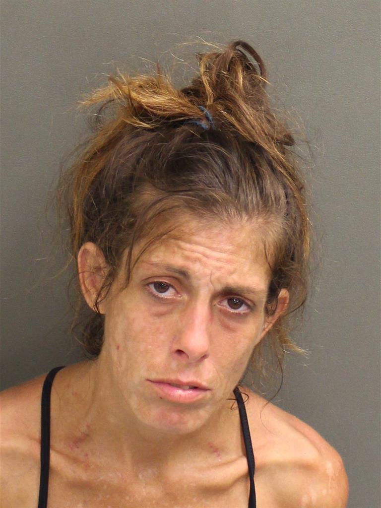  RACHEL A RICHARDS Mugshot / County Arrests / Orange County Arrests