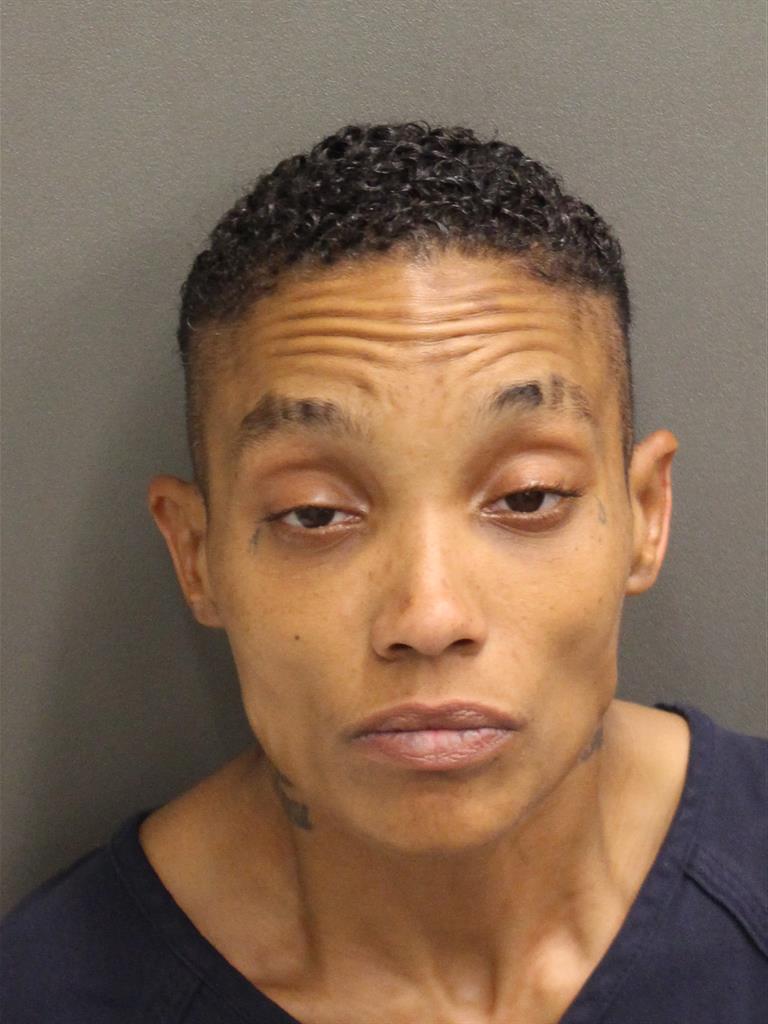  NATASHA MICHELLE STONER Mugshot / County Arrests / Orange County Arrests