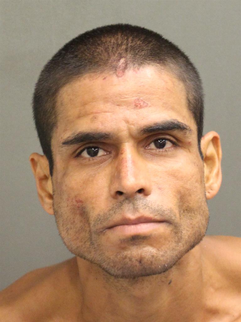  ANDRES JAVIER ACEVEDOVEGA Mugshot / County Arrests / Orange County Arrests