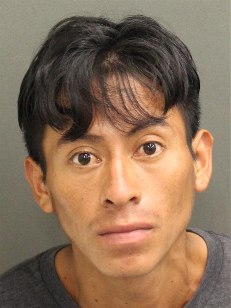  DIEGO PEREZ DOMINGO Mugshot / County Arrests / Orange County Arrests