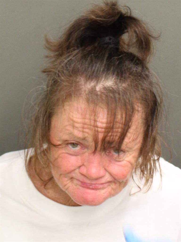  BRENDA JOHNSON Mugshot / County Arrests / Orange County Arrests