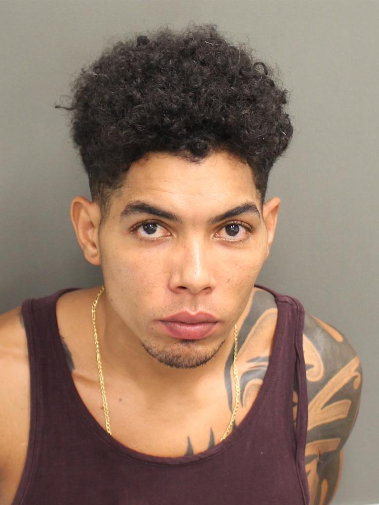  EDISON MANUEL ORTEGA VALERIO Mugshot / County Arrests / Orange County Arrests