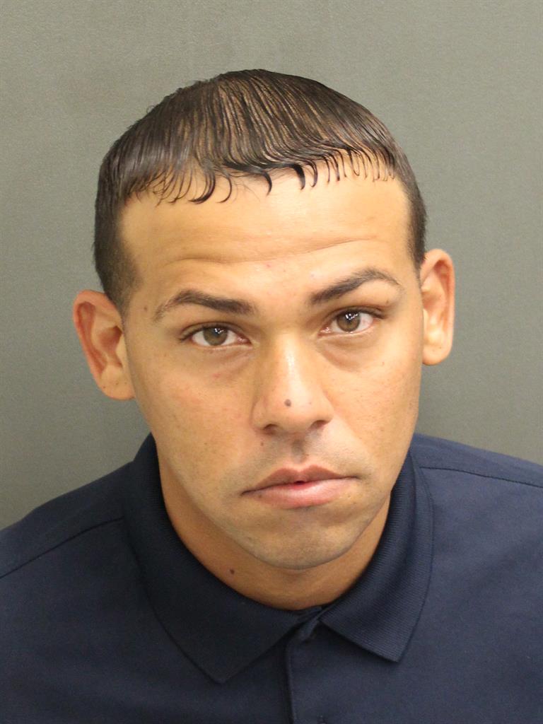  CHRISTIAN L MALPICASANCHEZ Mugshot / County Arrests / Orange County Arrests
