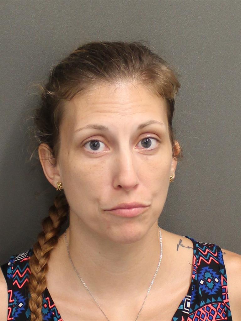  SARAH FAYE HAMILTON Mugshot / County Arrests / Orange County Arrests