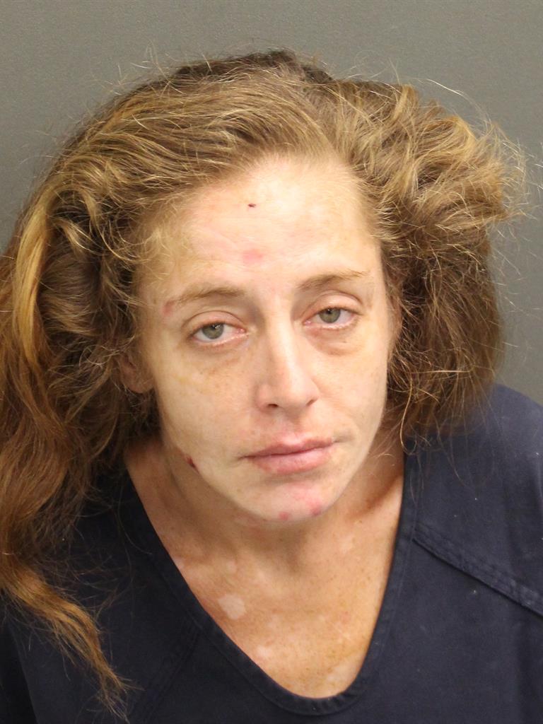  ASHLEY INABNITT Mugshot / County Arrests / Orange County Arrests