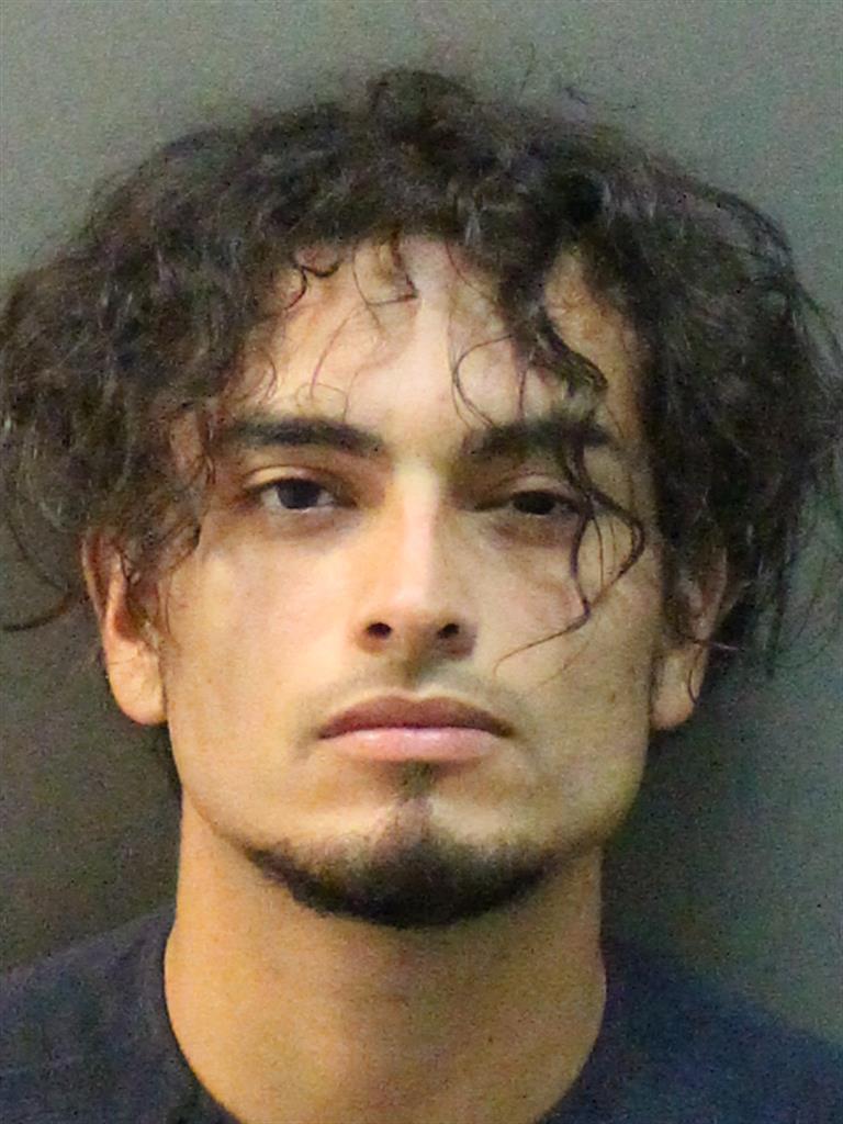  SEBASTIAN H FERNANDEZ Mugshot / County Arrests / Orange County Arrests