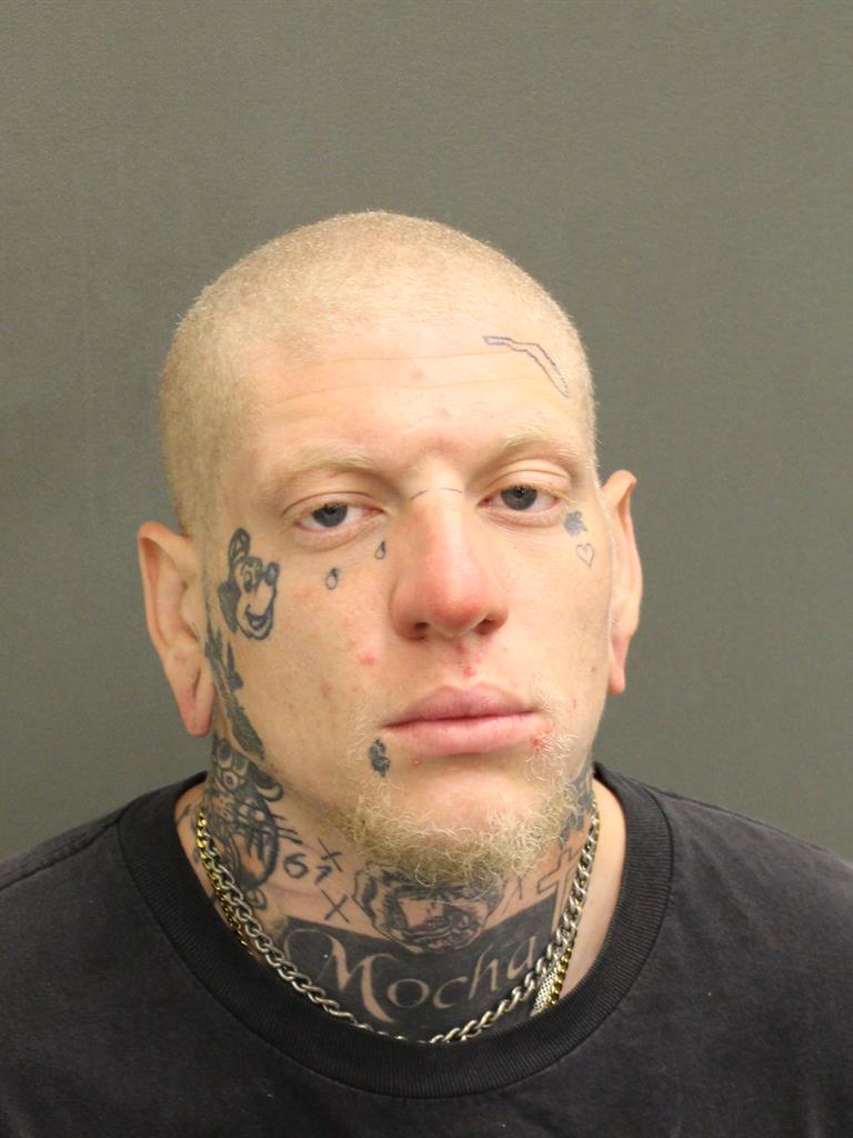  STEVEN ALEXANDER LONG Mugshot / County Arrests / Orange County Arrests