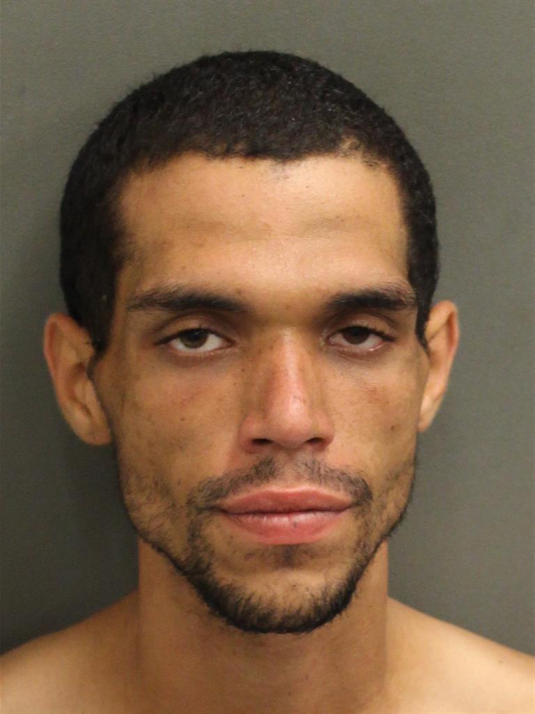  LUIS ANTONIO LOZADA Mugshot / County Arrests / Orange County Arrests