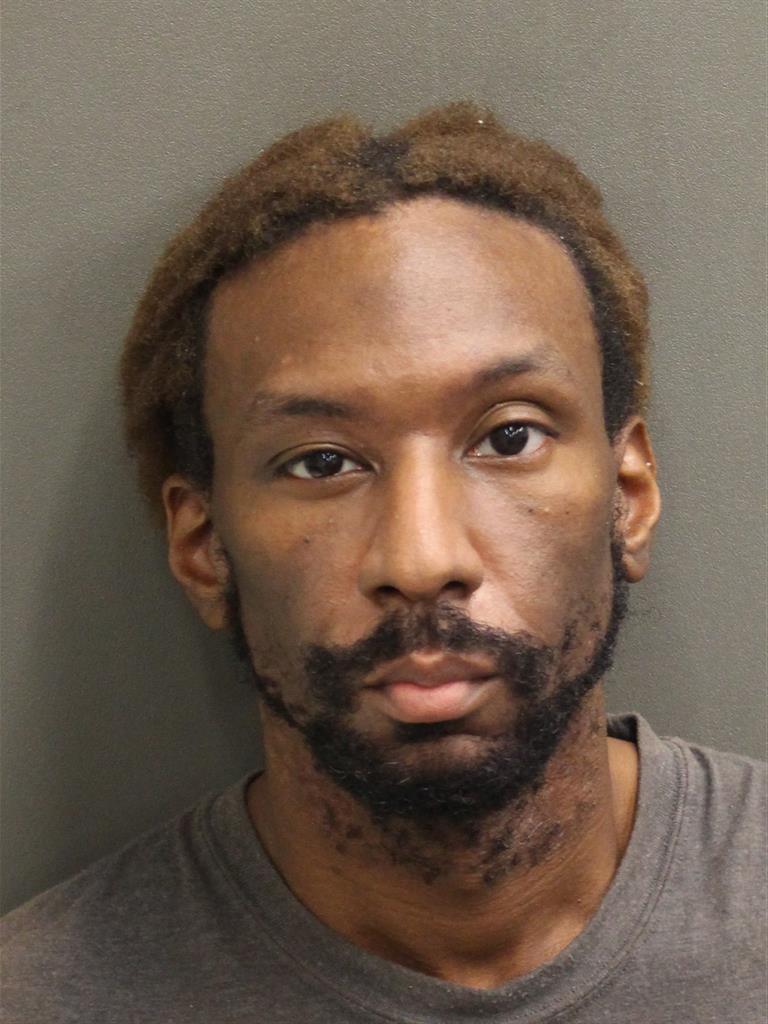  RYAN L JOHNSON Mugshot / County Arrests / Orange County Arrests