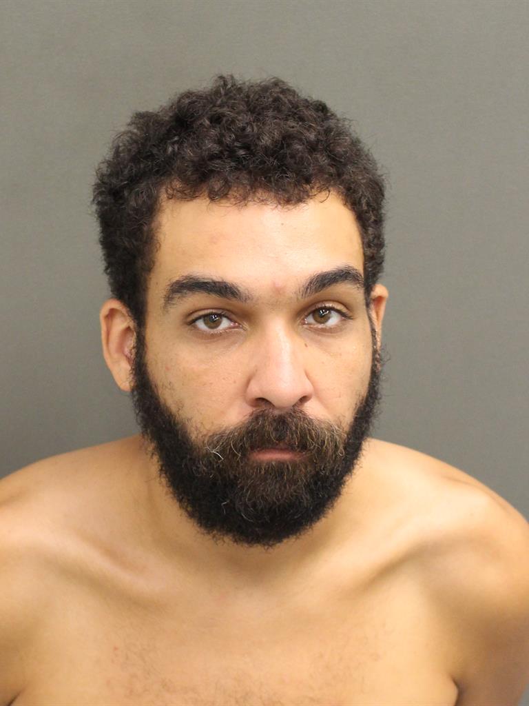  LUIS FRATERNAL RODRIGUEZ Mugshot / County Arrests / Orange County Arrests