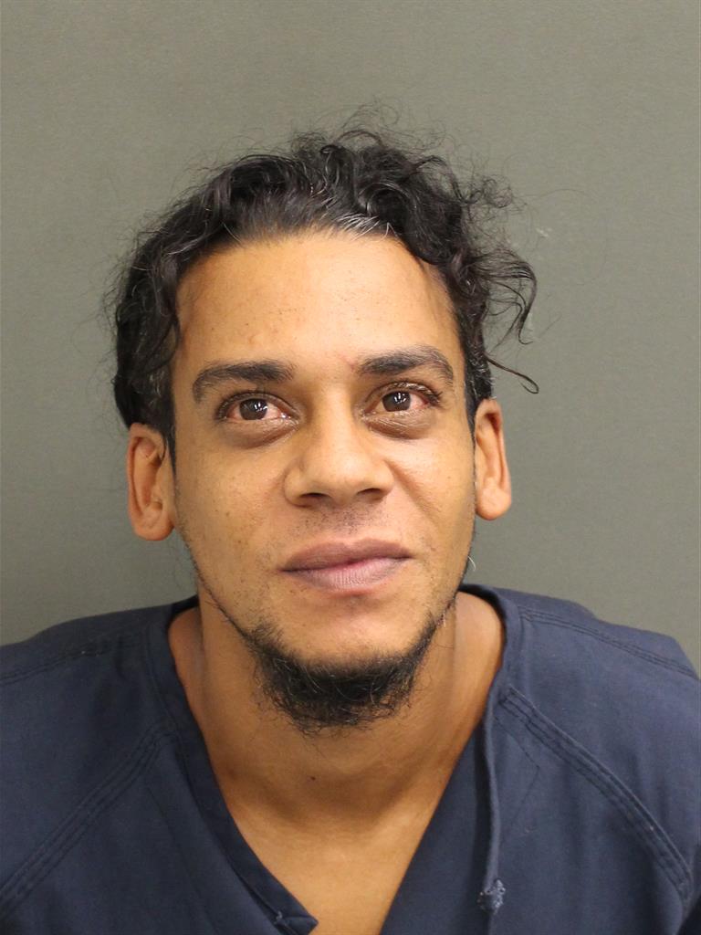  JOSE M ORTIZ Mugshot / County Arrests / Orange County Arrests