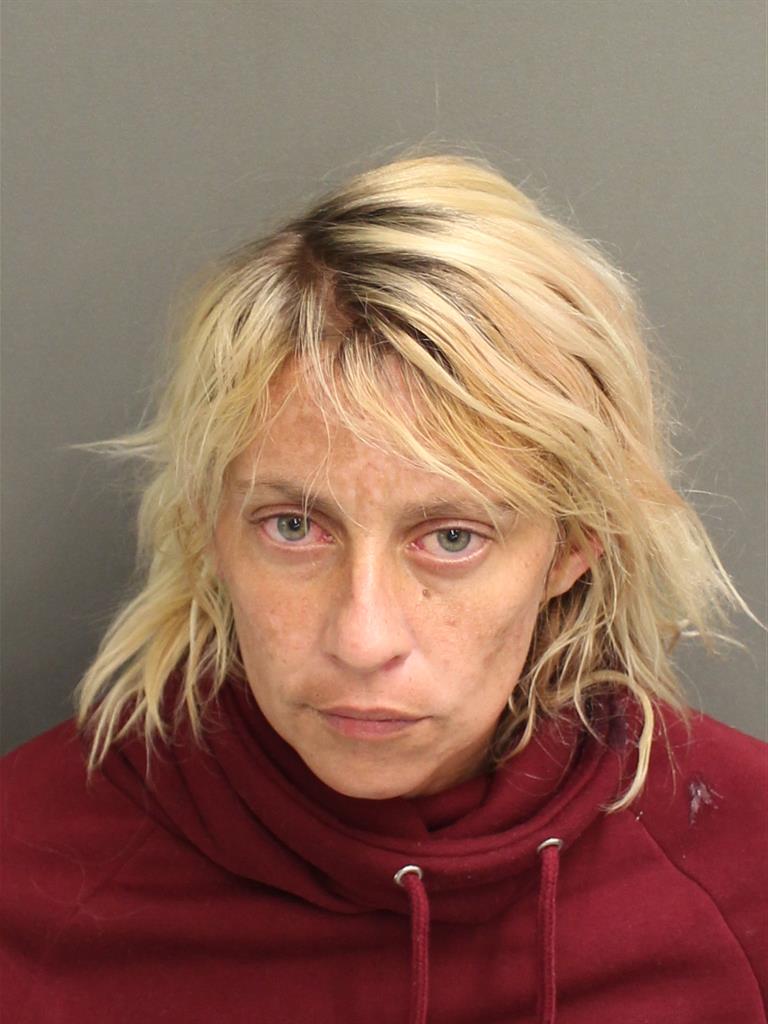  HEATHER OLIVIA SCHNELL Mugshot / County Arrests / Orange County Arrests