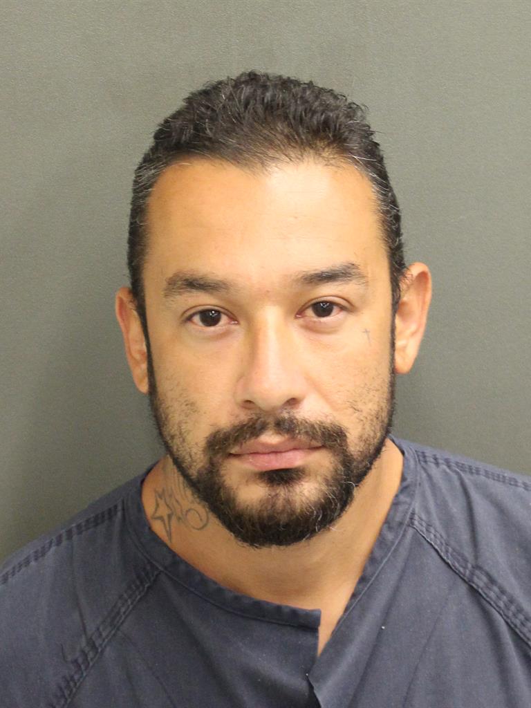  VILLANUEVA RICARDO Mugshot / County Arrests / Orange County Arrests