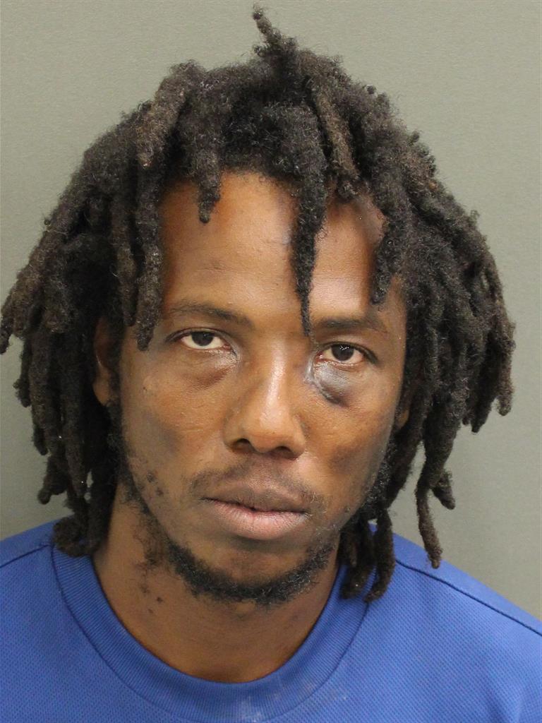  RAY DELIAN Mugshot / County Arrests / Orange County Arrests