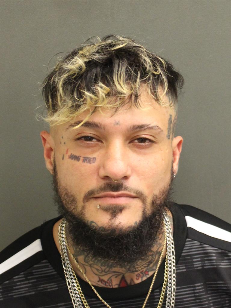  SANDY EMANUEL SILVALAGARES Mugshot / County Arrests / Orange County Arrests