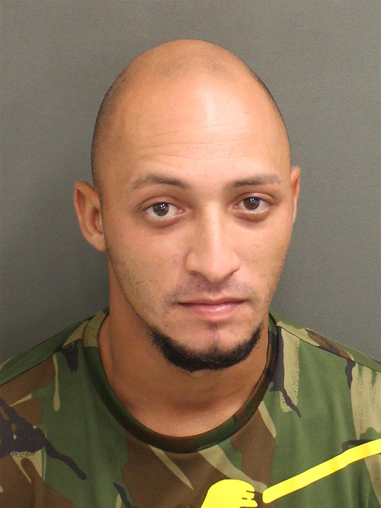  CHRISTIAN LOUIS SICARDOAMALBERT Mugshot / County Arrests / Orange County Arrests