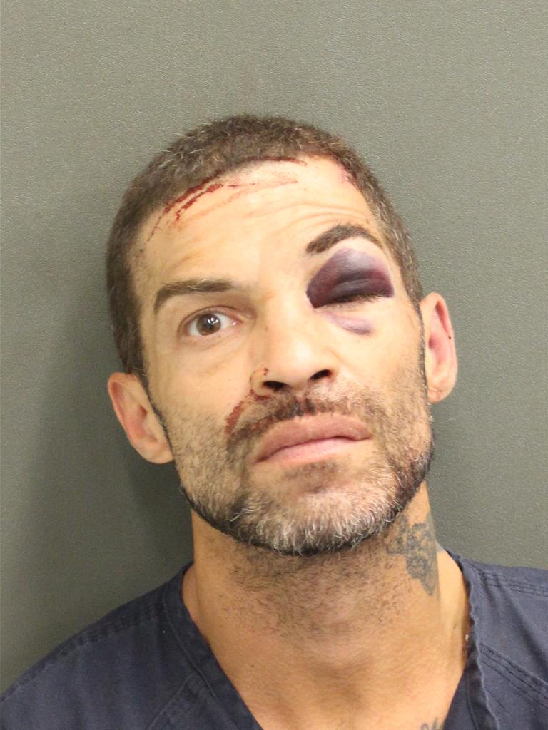PEDRO MANUEL JR PICHARDO Mugshot PEDRO MANUEL JR PICHARDO Mugshot / County Arrests / Orange County Arrests