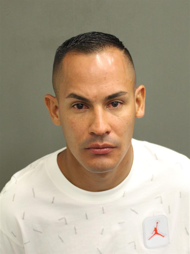  LUIS VICENTEPEREZ Mugshot / County Arrests / Orange County Arrests