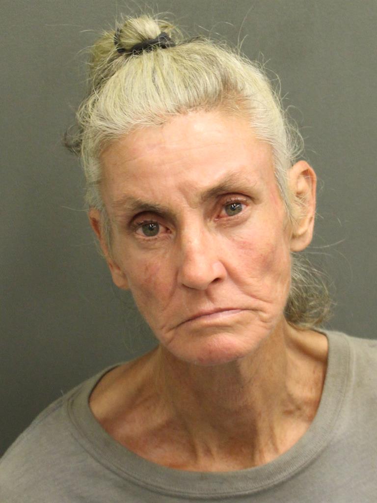  BARBARA ANN JOHNSON Mugshot / County Arrests / Orange County Arrests