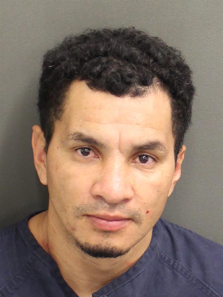  RONAL DAVID VALLADARESCASTILLO Mugshot / County Arrests / Orange County Arrests
