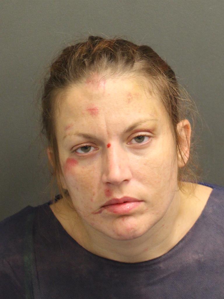  DEBORAH ANN ROGERS Mugshot / County Arrests / Orange County Arrests