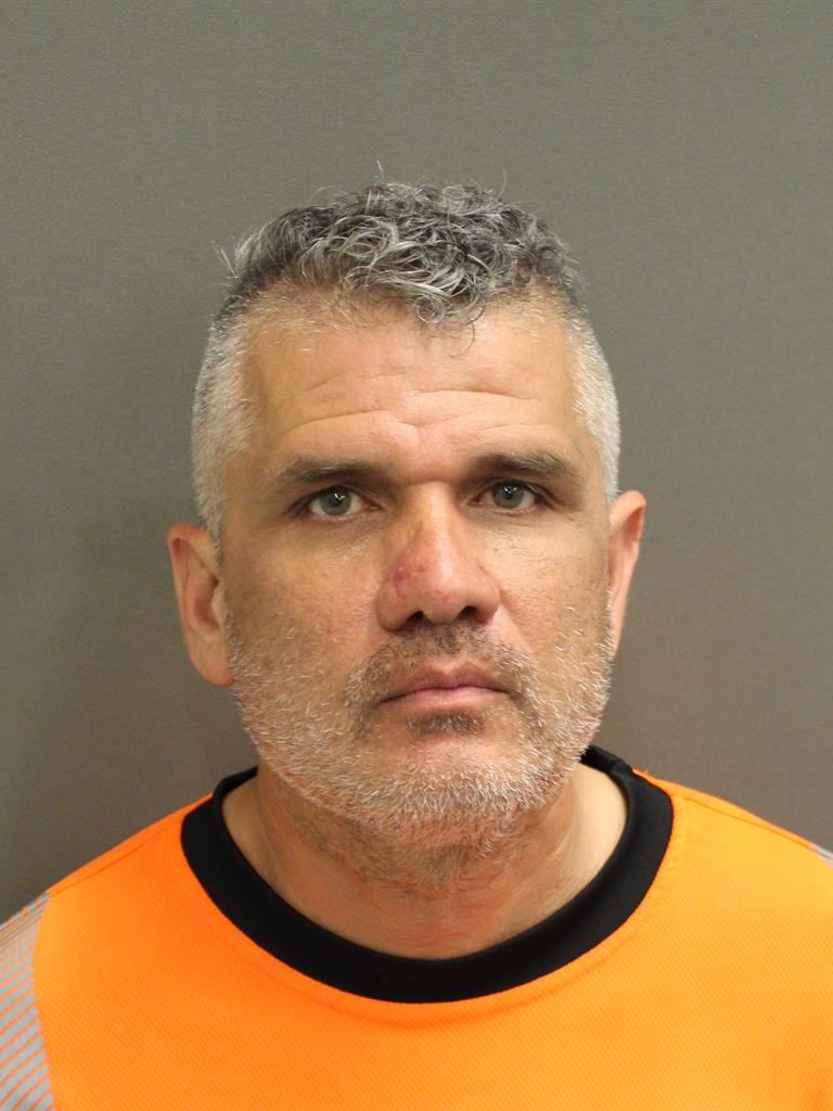  LUIS ANTONIO SOUCHET Mugshot / County Arrests / Orange County Arrests