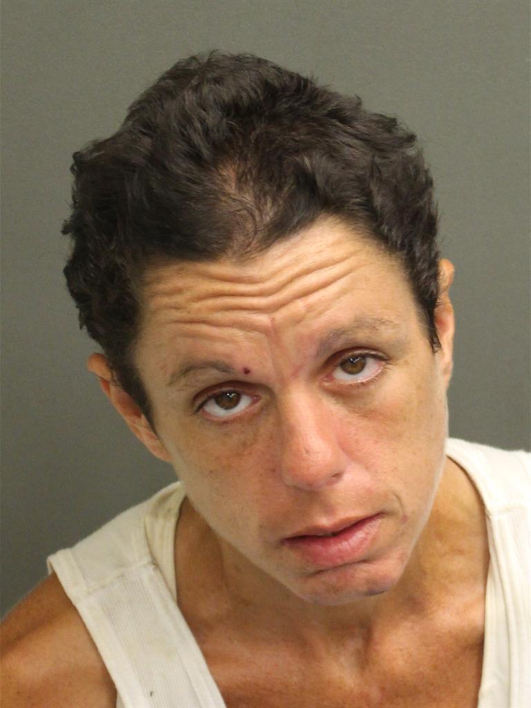  BRENNAN REBECCA ROBBINS Mugshot / County Arrests / Orange County Arrests