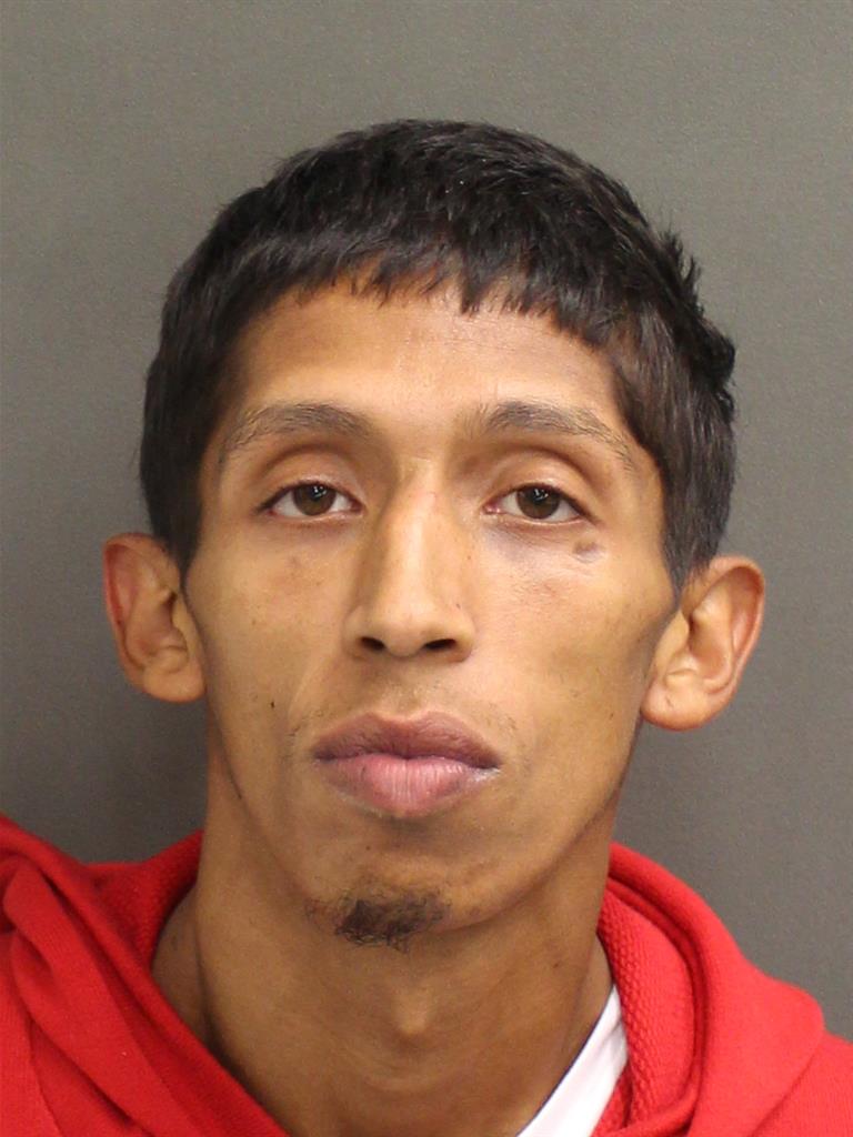  LUIS TORRES Photo Image