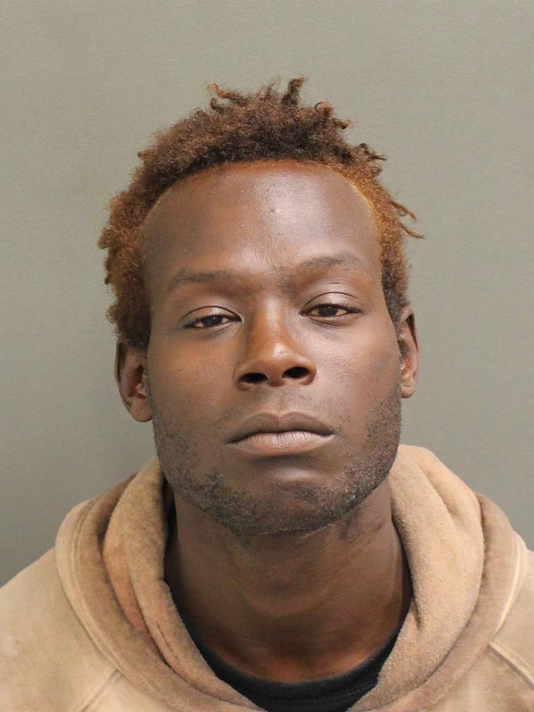  RODNEY ALBERT HAMILTON Mugshot / County Arrests / Orange County Arrests