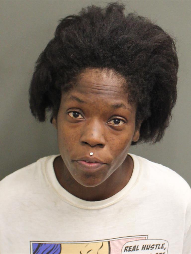  AURORA ANN PORTER Mugshot / County Arrests / Orange County Arrests