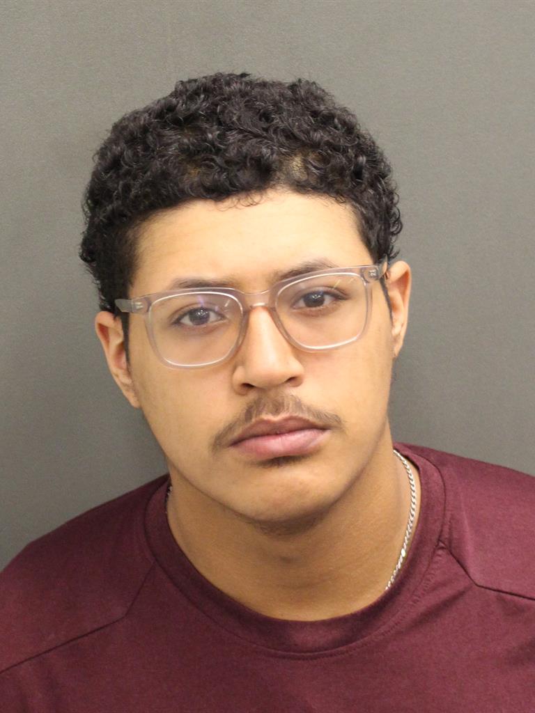  LUIS ARTEMIO MADERA Mugshot / County Arrests / Orange County Arrests