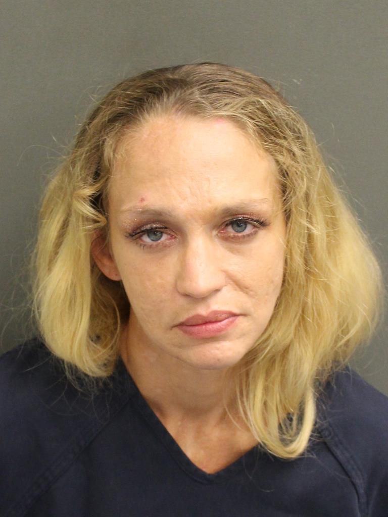  THERESA JANKOVIK Mugshot / County Arrests / Orange County Arrests