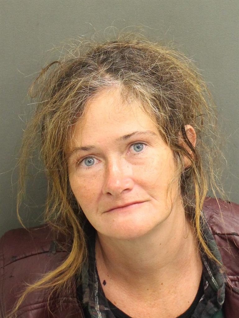 LISA ANN LEWIS Mugshot / County Arrests / Orange County Arrests