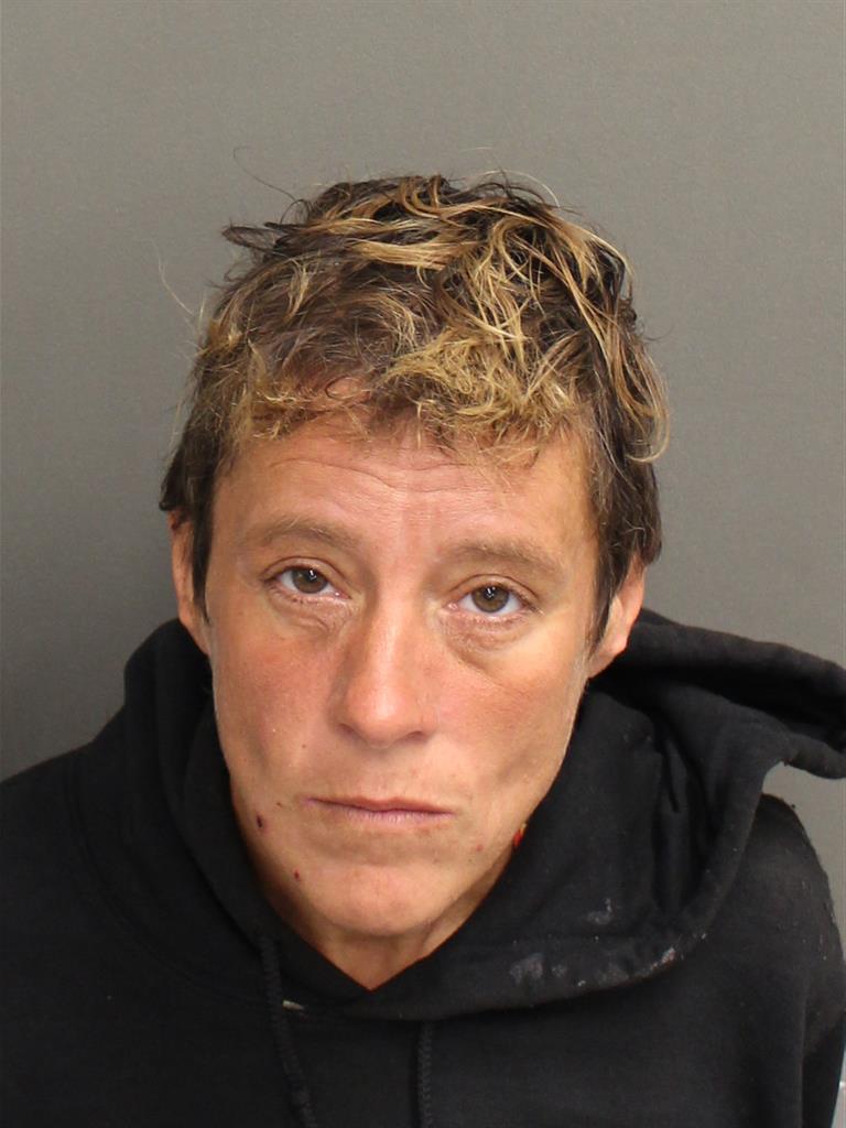  ANDREA MARIE FERGUSON Mugshot / County Arrests / Orange County Arrests