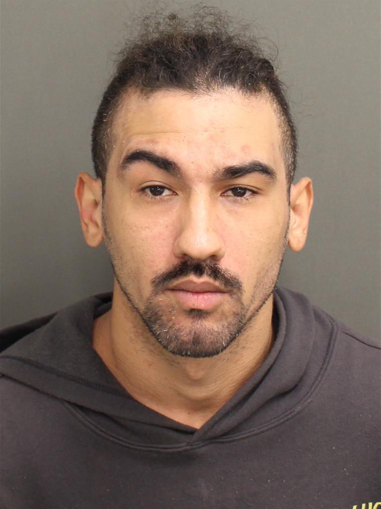  LENUEL LEONARDO PINEROGARCIA Mugshot / County Arrests / Orange County Arrests