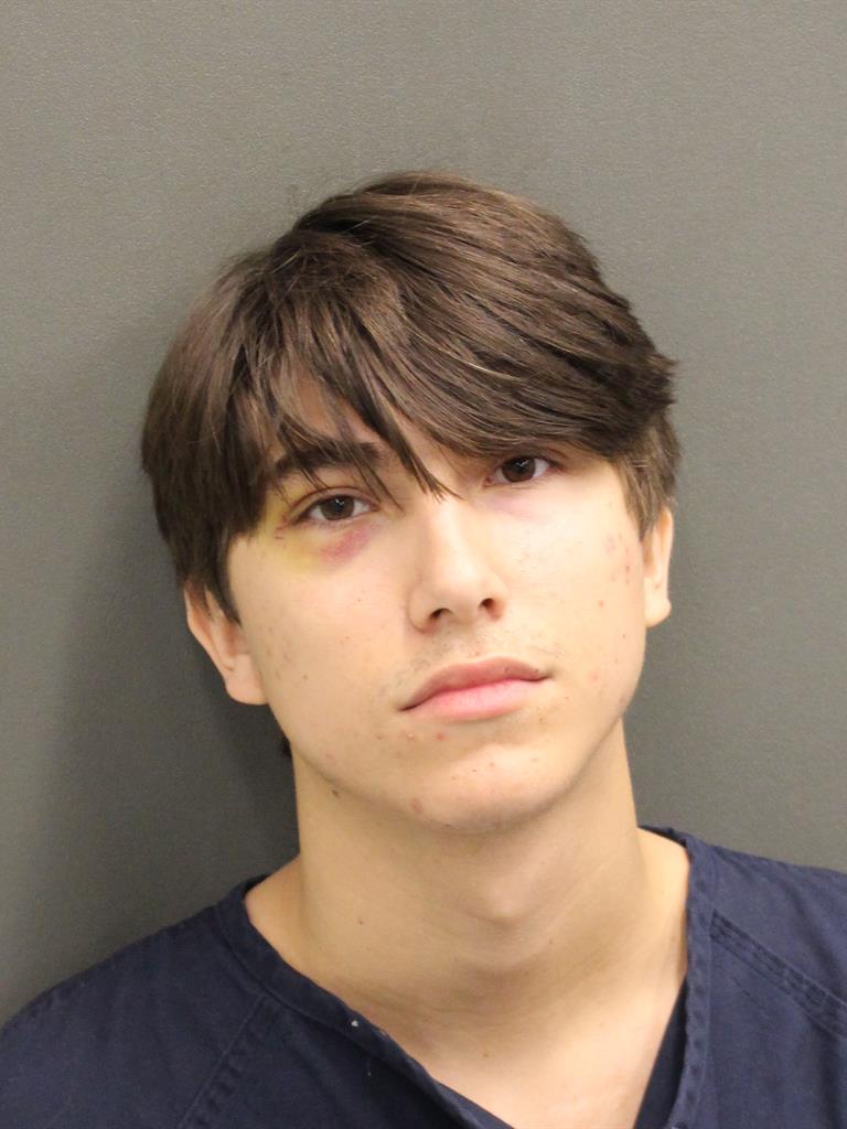  ALEXANDER SAMUEL LEWIS Mugshot / County Arrests / Orange County Arrests