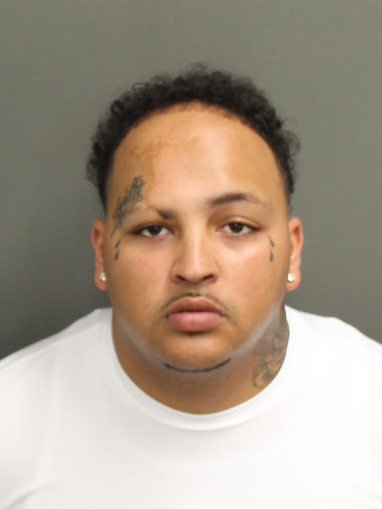  IVAN DAMARIS LANE Mugshot / County Arrests / Orange County Arrests