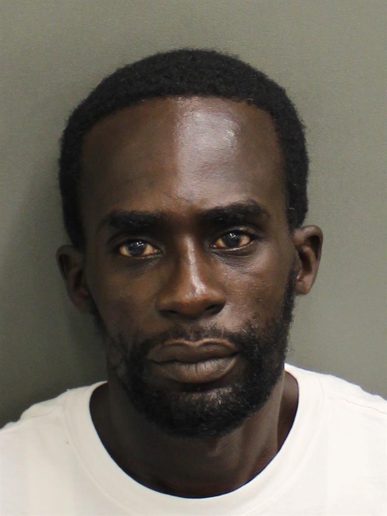  GOODWIN AINE Mugshot / County Arrests / Orange County Arrests