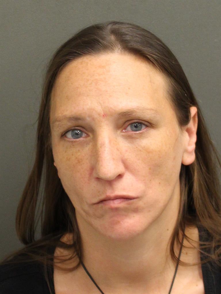  AMANDA MICHELLE JOHNSON Mugshot / County Arrests / Orange County Arrests