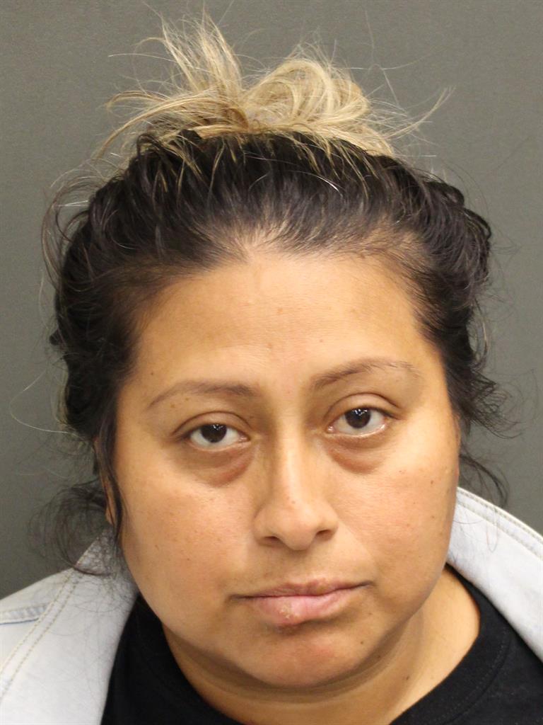  ELISAMA HERNANDEZVILLANUEVA Mugshot / County Arrests / Orange County Arrests