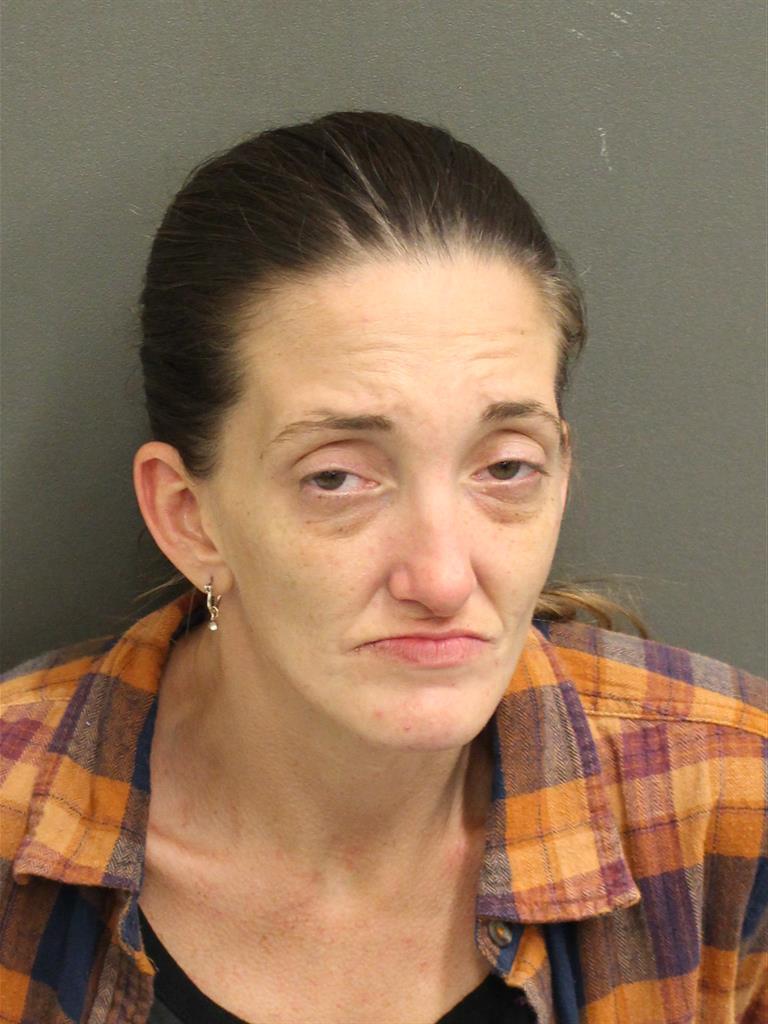  ANN MARIE DAVIS Mugshot / County Arrests / Orange County Arrests